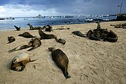 Islas Galapagos, Islas Galapagos, Ecuador