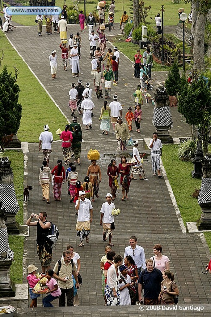 Bali
Paloma coronada Goura cristata
Bali