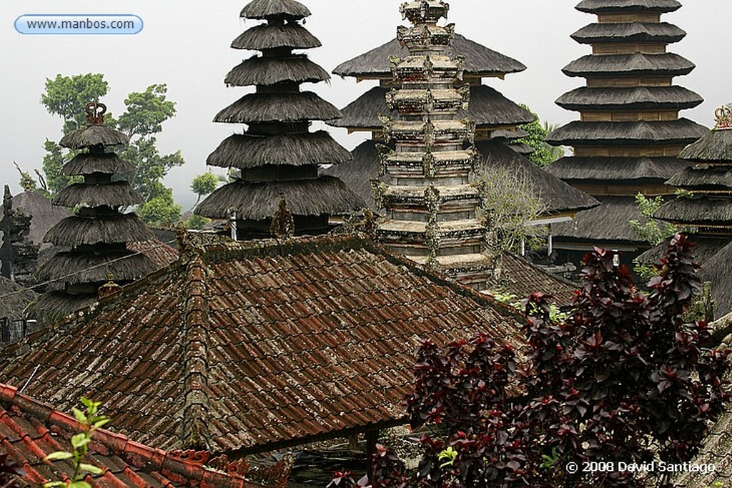 Bali
Palacio de Ubud Bali
Bali