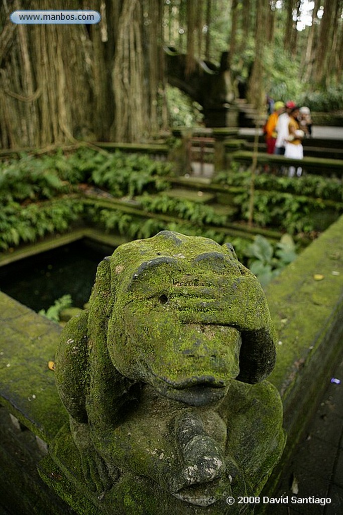 Bali
Tirta Empul Tampaksiring Bali
Bali