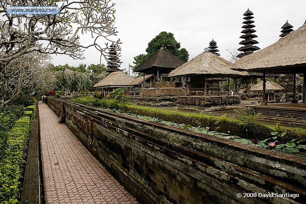 Bali
Monkey Forest Bali
Bali