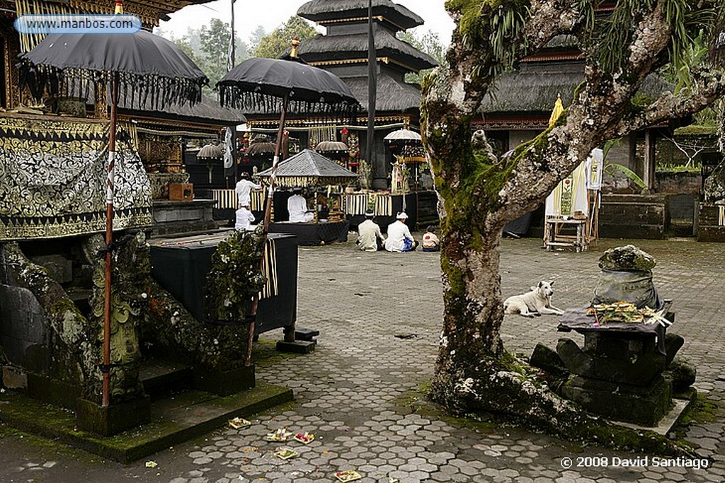 Bali
Bina Remeja Palacio de Ubud Bali
Bali