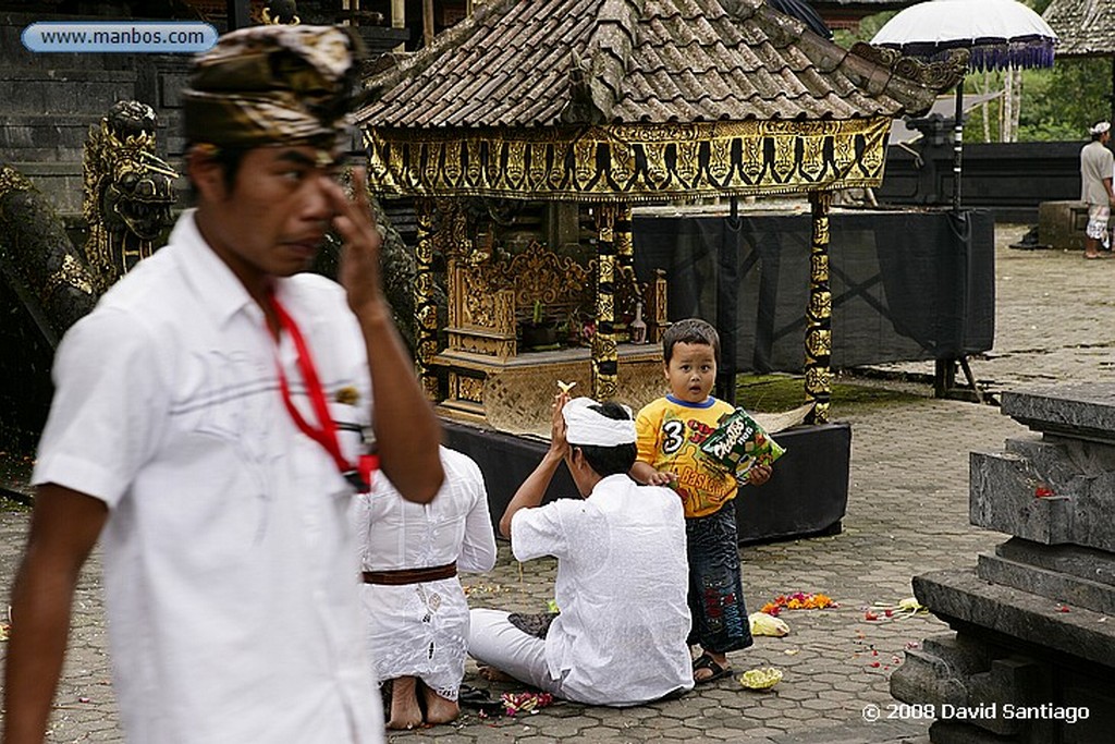 Bali
Monkey Forest Bali
Bali