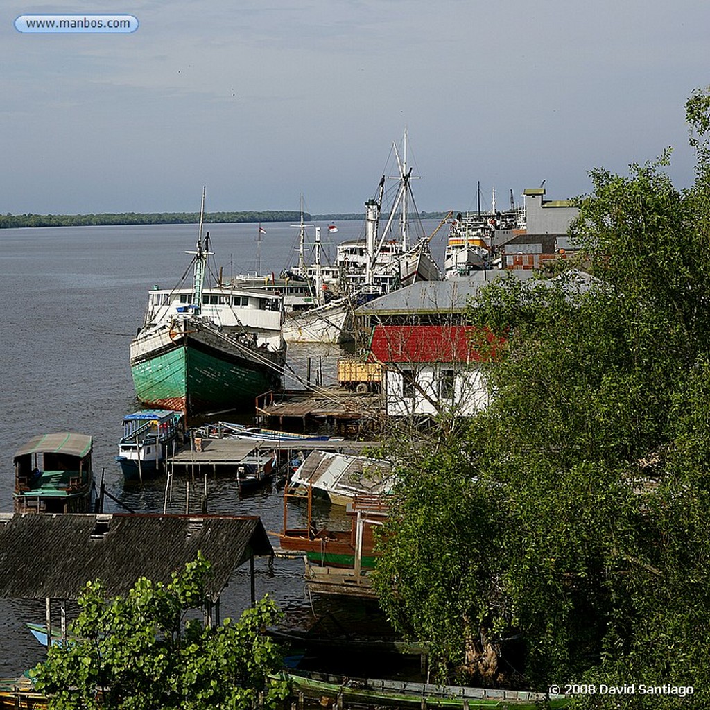 Borneo
Klotok P N Tanjunj Puting Borneo
Borneo