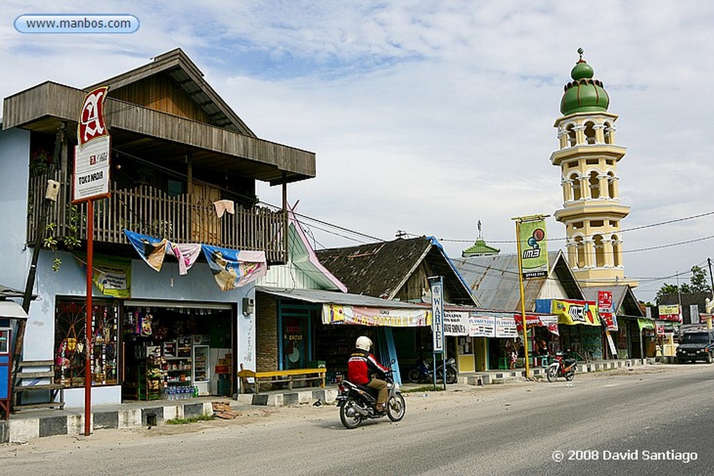 Borneo
Klotok P N Tanjunj Puting Borneo
Borneo