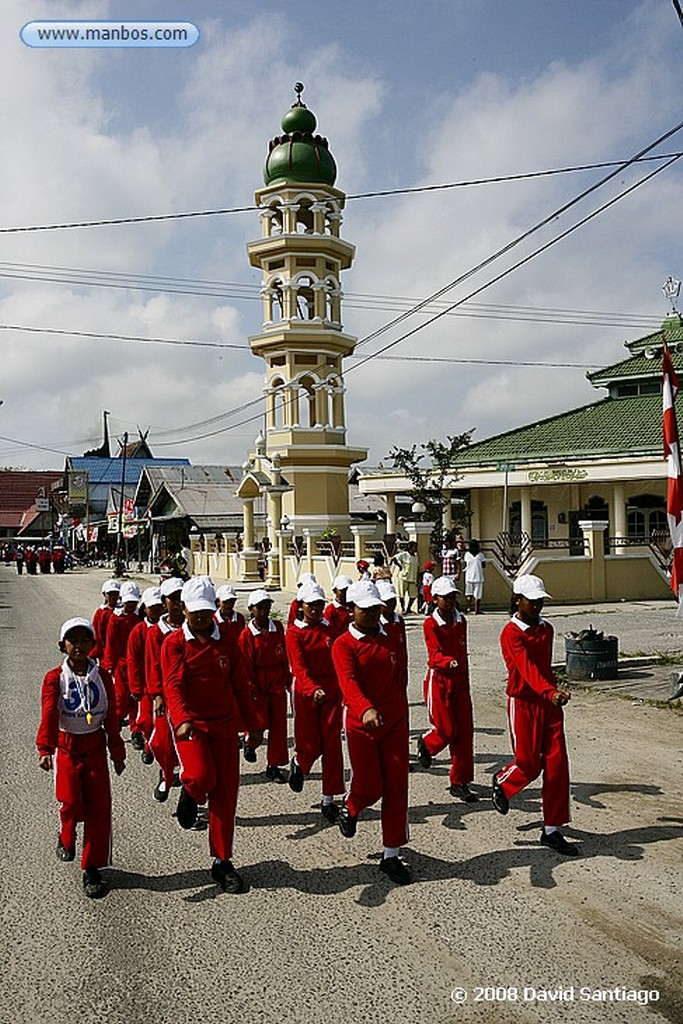 Borneo
Klotok P N Tanjunj Puting Borneo
Borneo