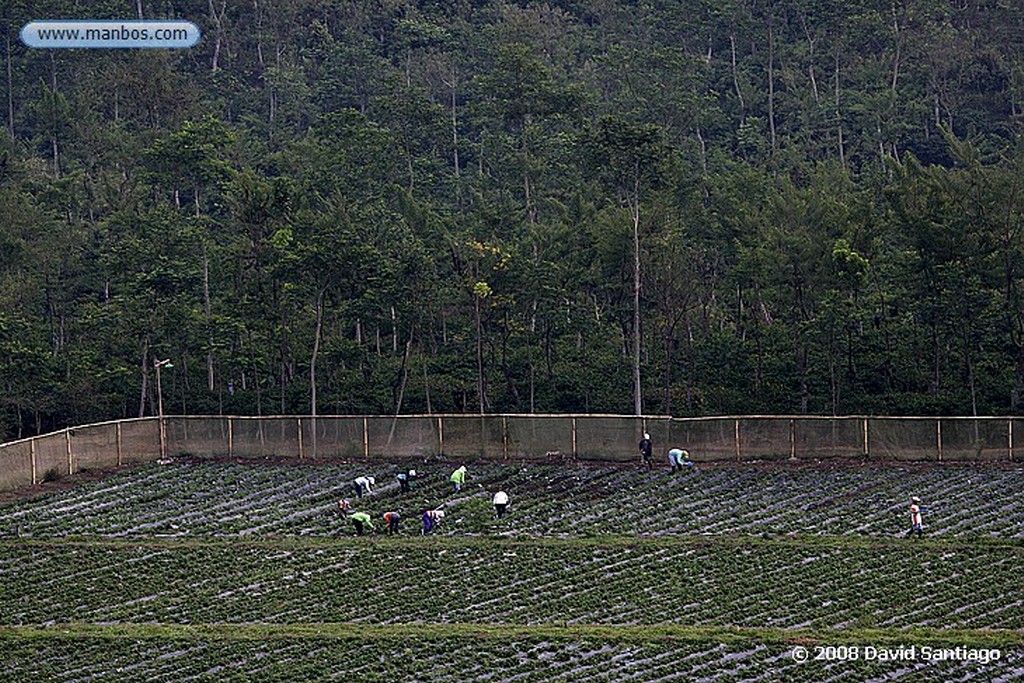 Java
Caballos para llegar a la base de Gunung Bromo Java
Java