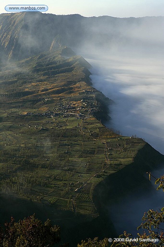 Java
Caballos para llegar a la base de Gunung Bromo Java
Java