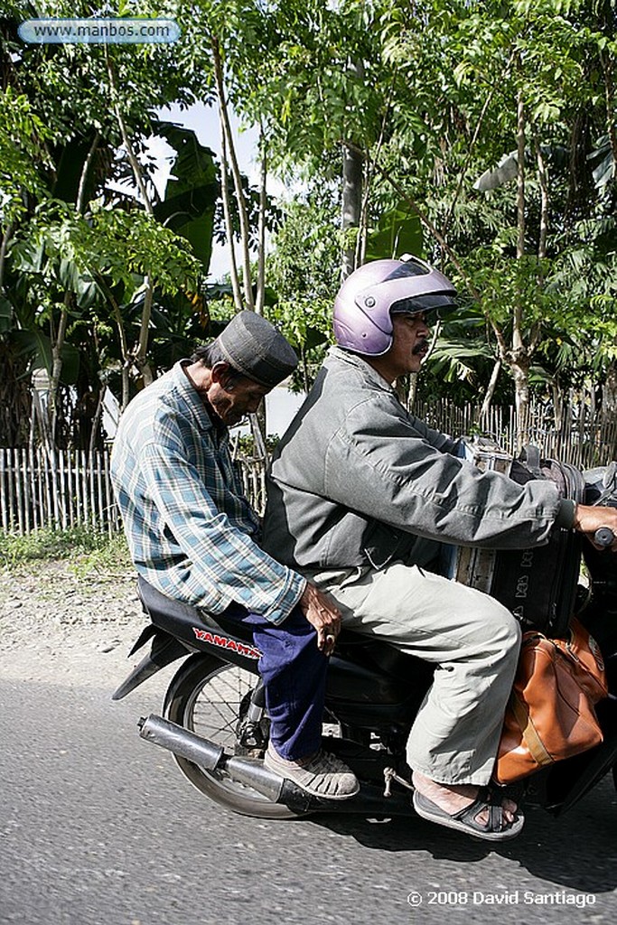 Java
Cemoro Lawang P N Bromo Tengger Semeru Java
Java