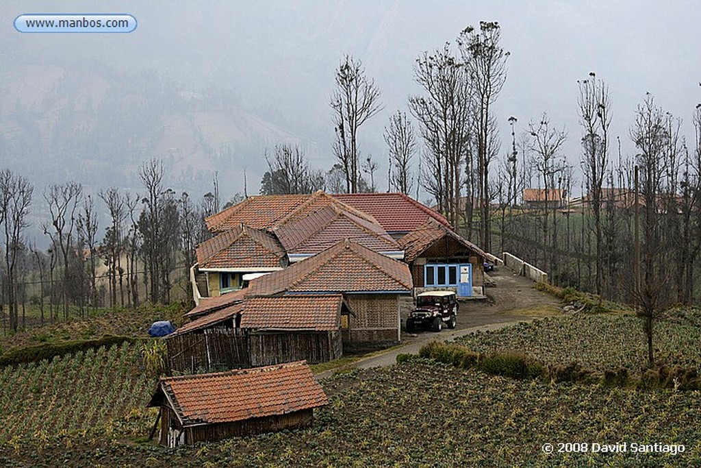 Java
Cemoro Lawang P N Bromo Tengger Semeru Java
Java