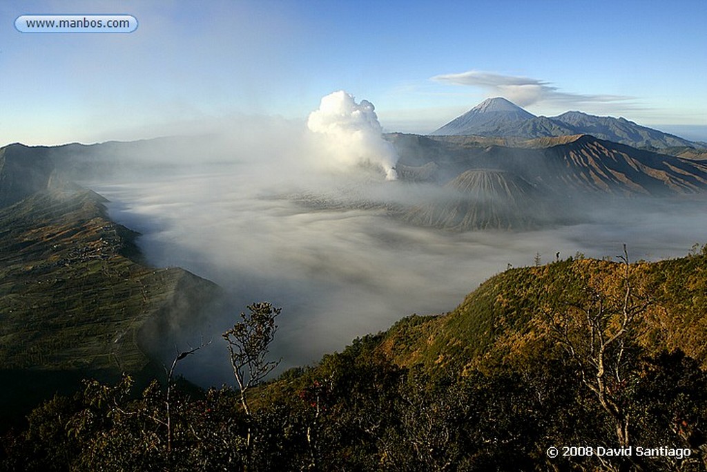 Java
Gunung Bromo P N Bromo Java
Java