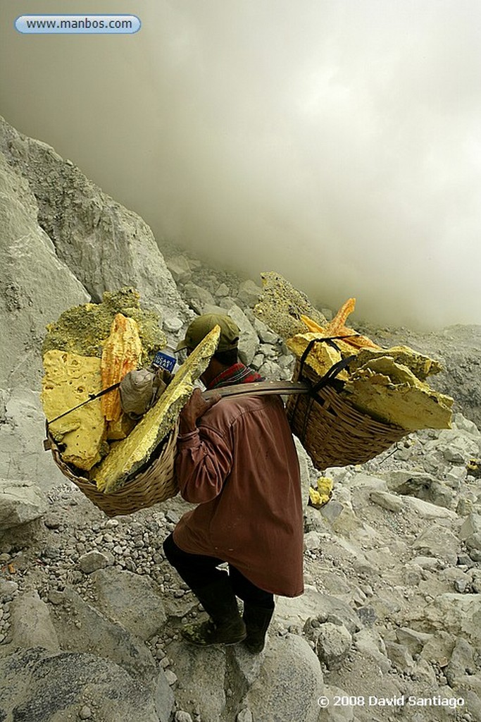 Java
P N Bromo Tengger Semeru Java
Java