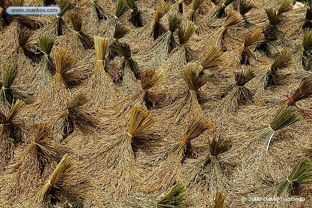 Sulawesi
Carretera de Bori a Rantepao Sulawesi
Sulawesi