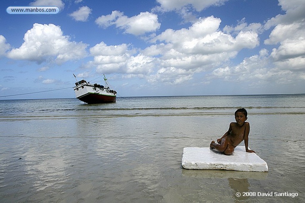 Sulawesi
Roilyn Jalan Sulawesi
Sulawesi