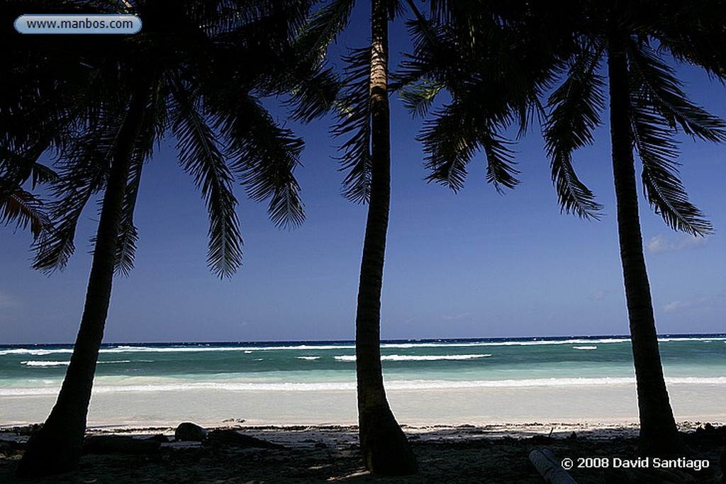 Sulawesi
Alrededores de Lemo Sulawesi
Sulawesi