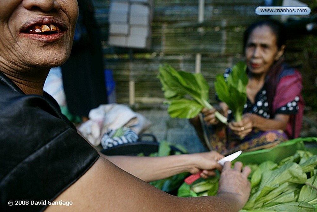 Sulawesi
Arrozales entre Kete Kesu y Buka Tana Toraja Sulawesi
Sulawesi