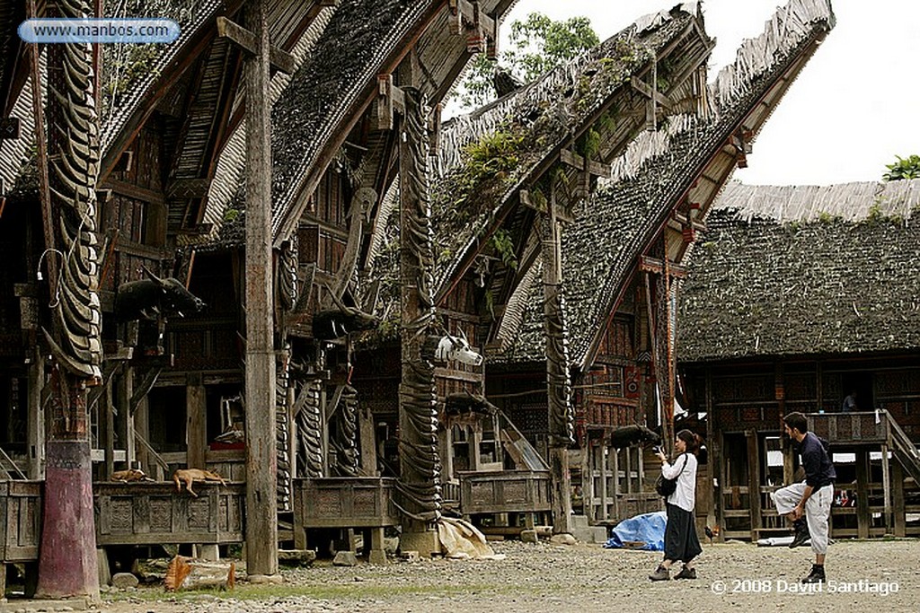Sulawesi
Museo de Ne Gandeng Sulawesi
Sulawesi