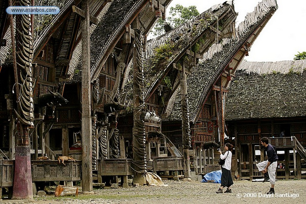 Sulawesi
Museo de Ne Gandeng Sulawesi
Sulawesi