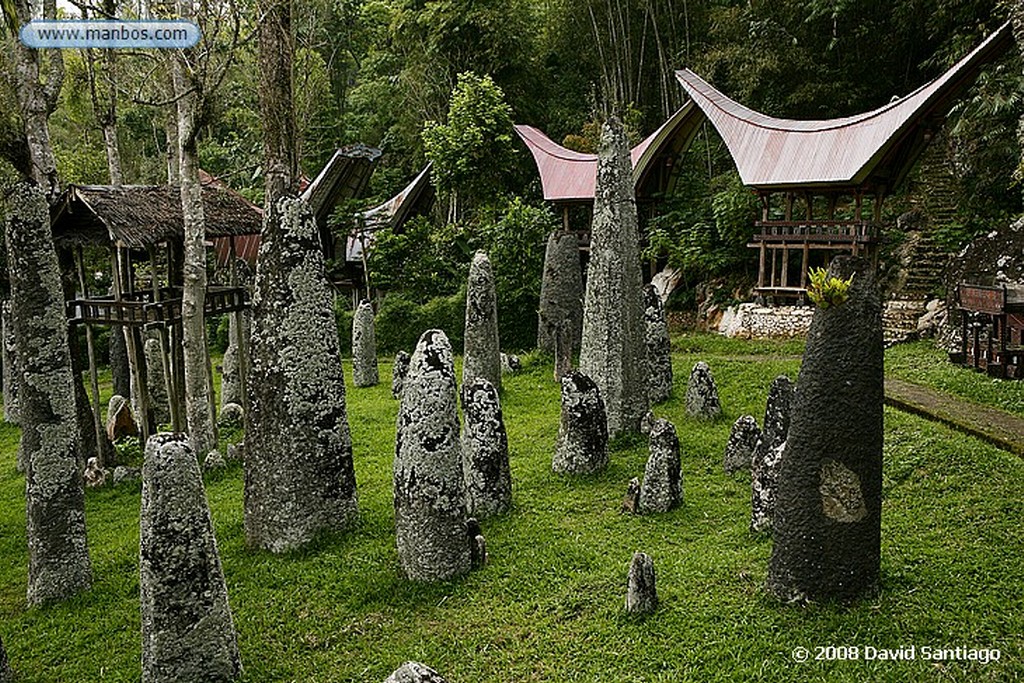 Sulawesi
Tongkonanes Kete kesu Sulawesi
Sulawesi