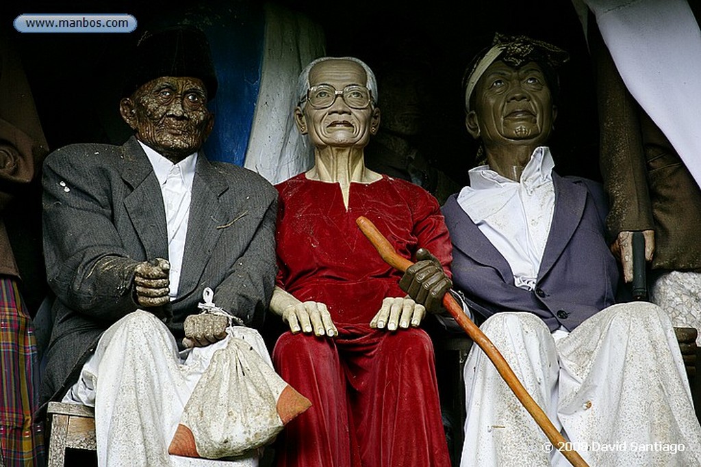 Sulawesi
Funeral en Buka Tana Toraja Sulawesi
Sulawesi