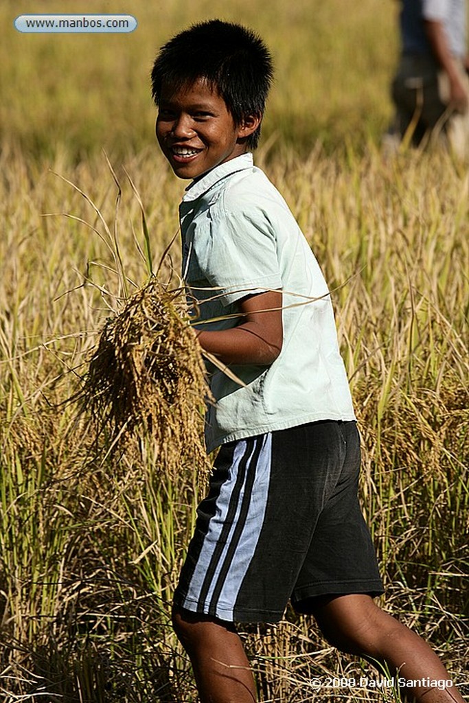 Sulawesi
Alrededores de Lemo Sulawesi
Sulawesi