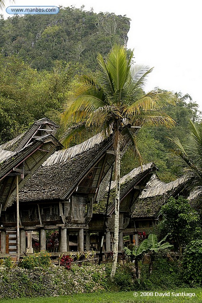 Java
Cemoro Lawang P N Bromo Tengger Semeru Java
Java