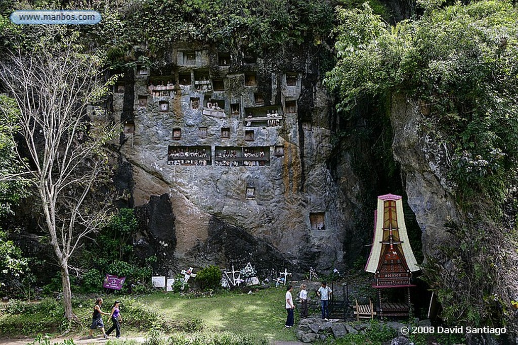 Sulawesi
Carretera de Bori a Rantepao Sulawesi
Sulawesi