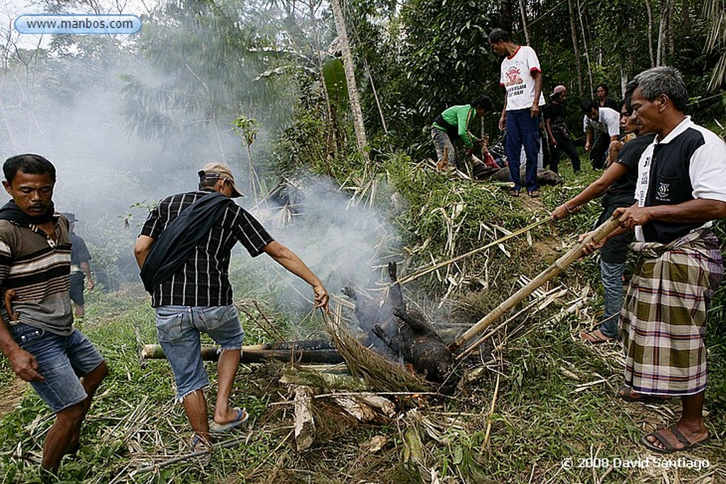 Sulawesi
Rantepao Sulawesi
Sulawesi