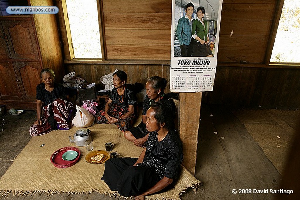 Sulawesi
Funeral en Buka Tana Toraja Sulawesi
Sulawesi