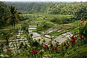 Rendong, Bali, Indonesia