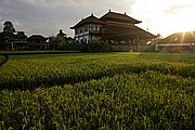 Ubud, Bali, Indonesia