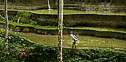 Gunnung Kawi Tampaksiring, Bali, Indonesia