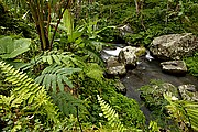 Gunnung Kawi Tampaksiring, Bali, Indonesia