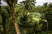 Gunnung Kawi Tampaksiring, Bali, Indonesia