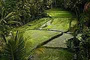 Gunnung Kawi Tampaksiring, Bali, Indonesia