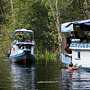 Tanjunj Puting, Borneo, Indonesia