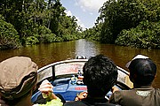 Tanjunj Puting, Borneo, Indonesia