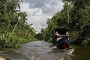 Tanjunj Puting, Borneo, Indonesia