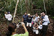 Tanjunj Puting, Borneo, Indonesia