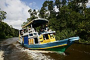 Tanjunj Puting, Borneo, Indonesia