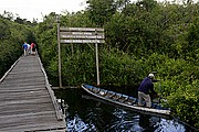 Tanjunj Puting, Borneo, Indonesia