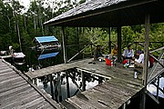 Tanjunj Puting, Borneo, Indonesia