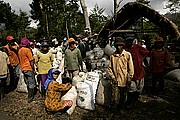 Objetivo 24 to 70
Trabajadores de cafe en la meseta de Ijen Java
Java
JAVA
Foto: 17686