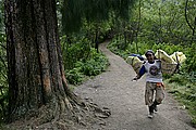 Volcan Kawah Ijen, Java, Indonesia