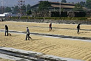 Meseta de Ijen, Java, Indonesia