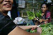 Buka Tana Toraja, Sulawesi, Indonesia