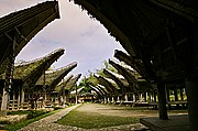 Tongkonanes Kete Kesu, Sulawesi, Indonesia