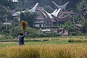 Bori, Sulawesi, Indonesia