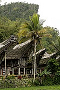 Tongkonanes Kete Kesu, Sulawesi, Indonesia