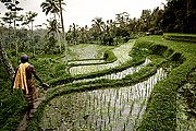 Gunnung Kawi Tampaksiring, Sulawesi, Indonesia